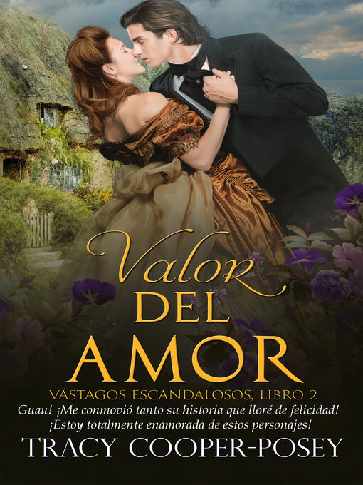 Cover image for Valor del Amor